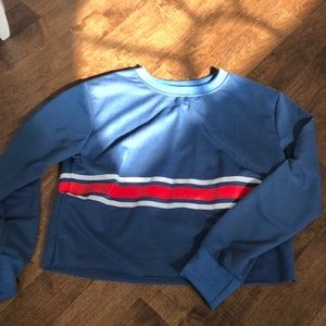 Brandy melville inspired cropped long sleeve